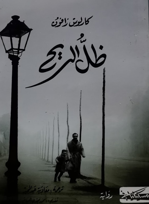 The shadow of the wind.